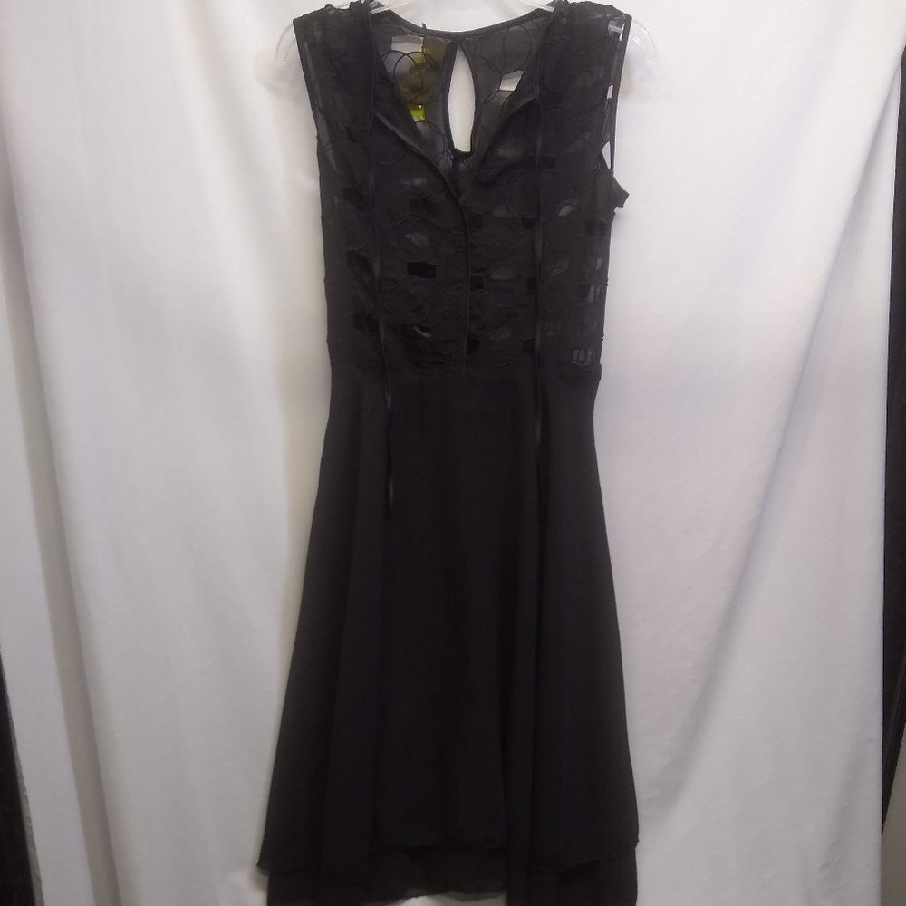 black layered retro swing sheer dress